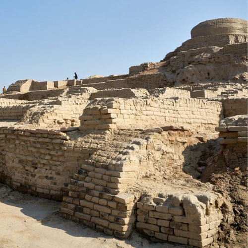 Untitled design (10)